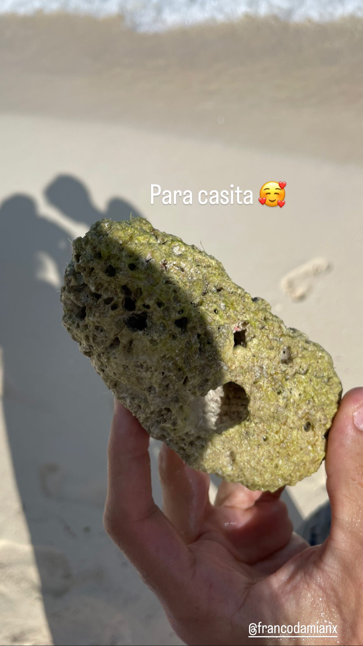 shunli__mei instagram image archive image