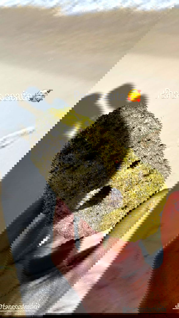 shunli__mei image ~ Altpins