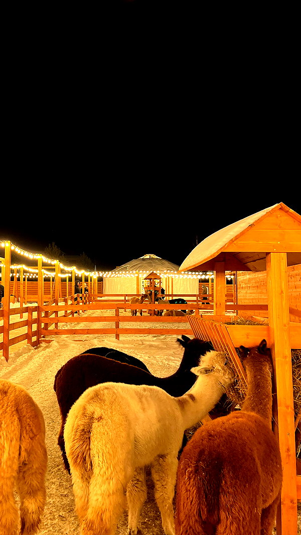 nasstellaa instagram image archive image