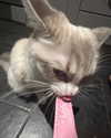 catl0verr69 Altpins Profile Picture
