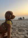 liiza_maarchuk Altpins Profile Picture