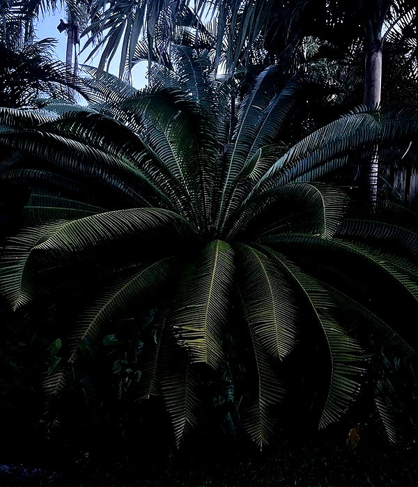 sophadophaa_ instagram image archive image