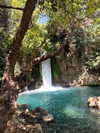 _hilaluu Altpins Profile Picture