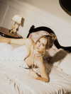miikheeva_stasiiya Altpins Profile Picture
