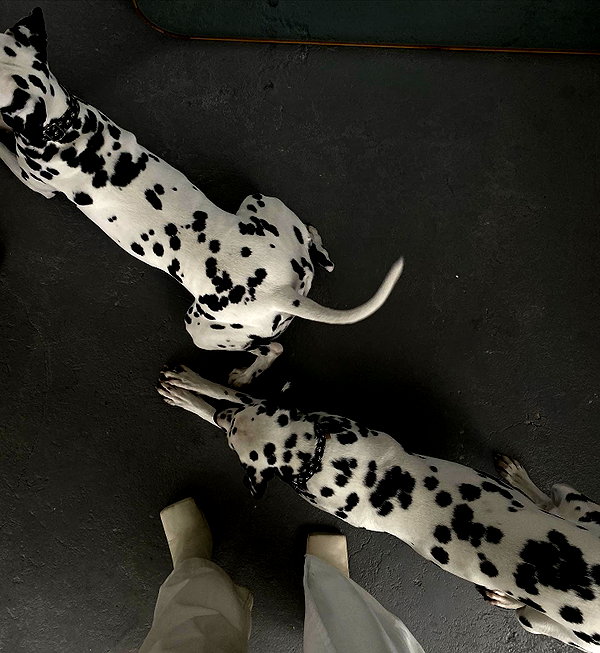 veroni22ka instagram image archive image