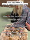 hilla.sela Altpins Profile Picture