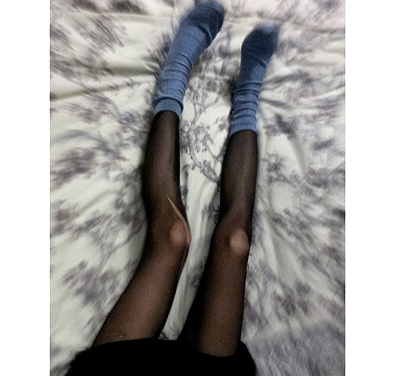 amanitalis instagram image archive image