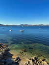 edvarda_ Altpins Profile Picture
