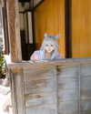 miee_cos Altpins Profile Picture