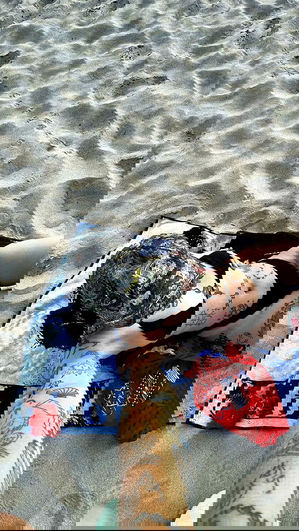 jtilb image ~ Altpins