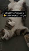 lila.garnik Altpins Profile Picture