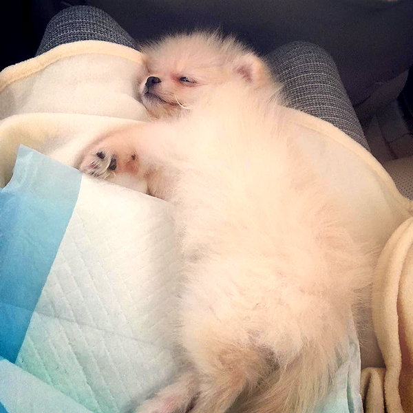 sssniperwolf instagram image archive image