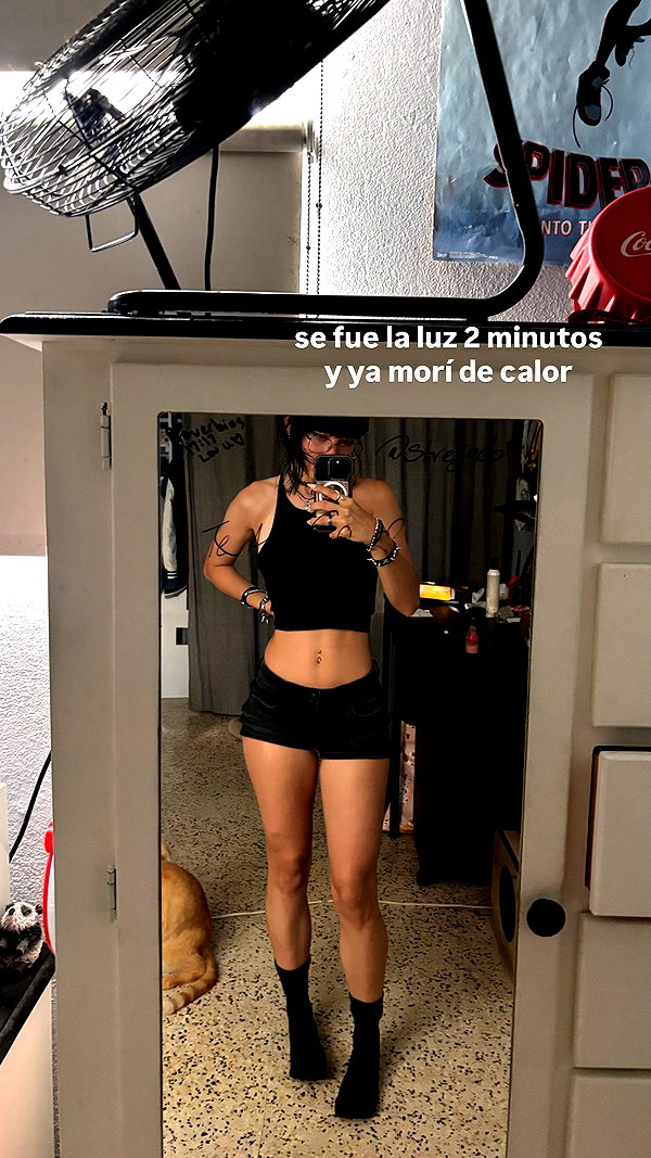mosssaico instagram image archive image
