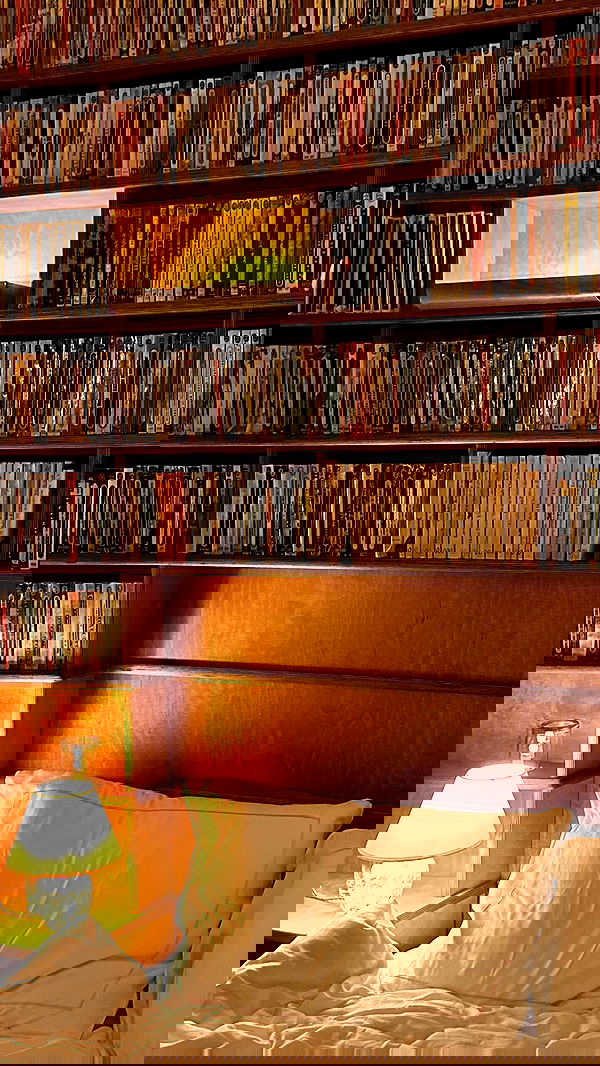 taylor.creeden taylor.creeden archive image