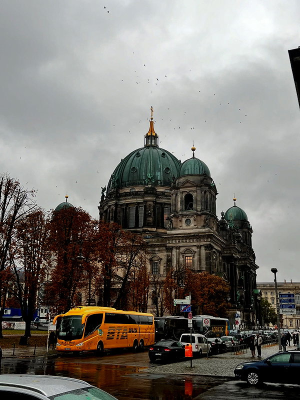 majawitzell instagram image archive image