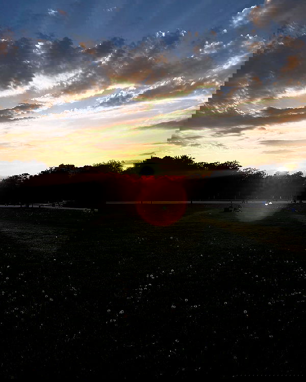 txxwwq txxwwq archive image