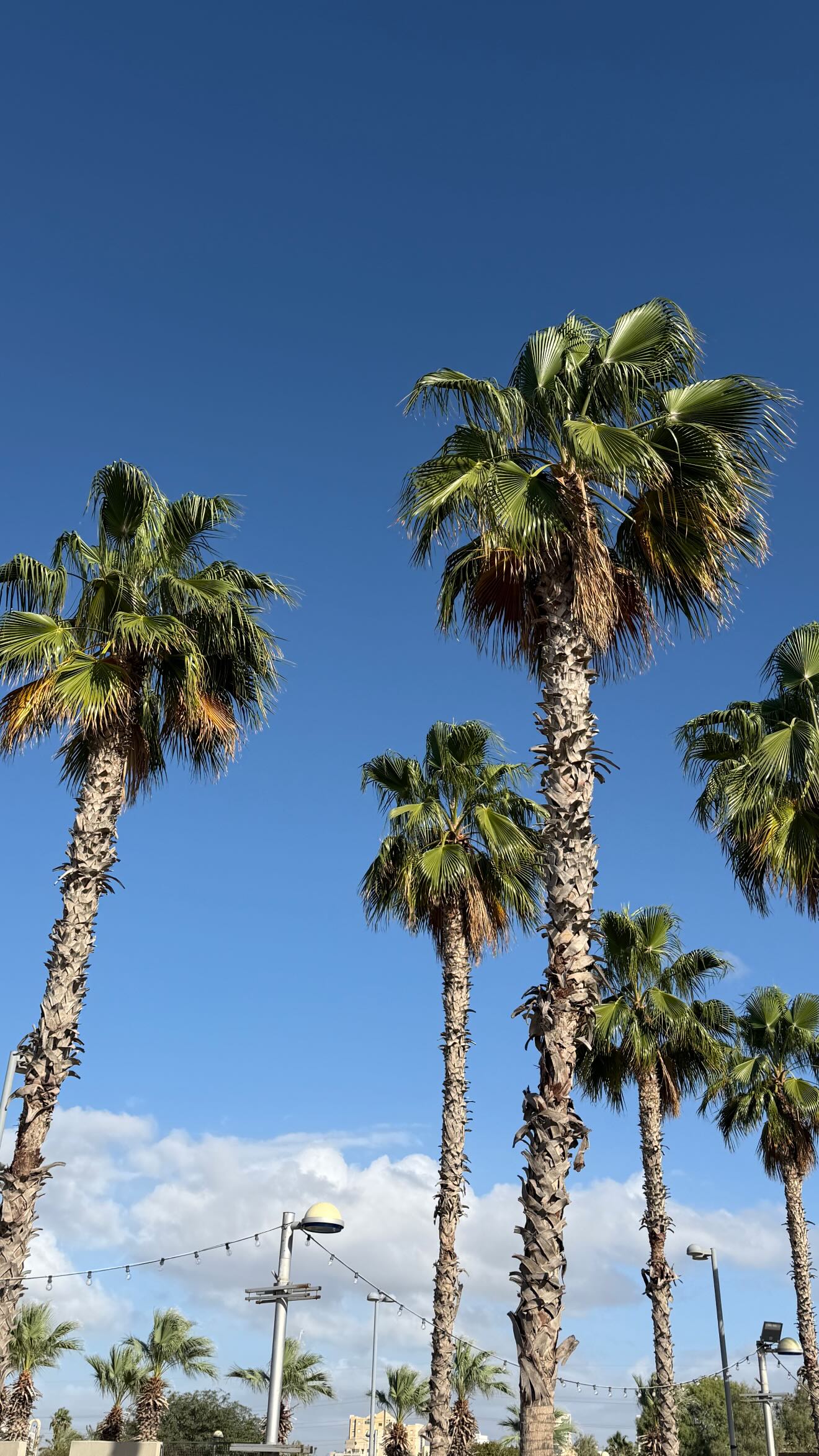 talweisswasser instagram image archive image