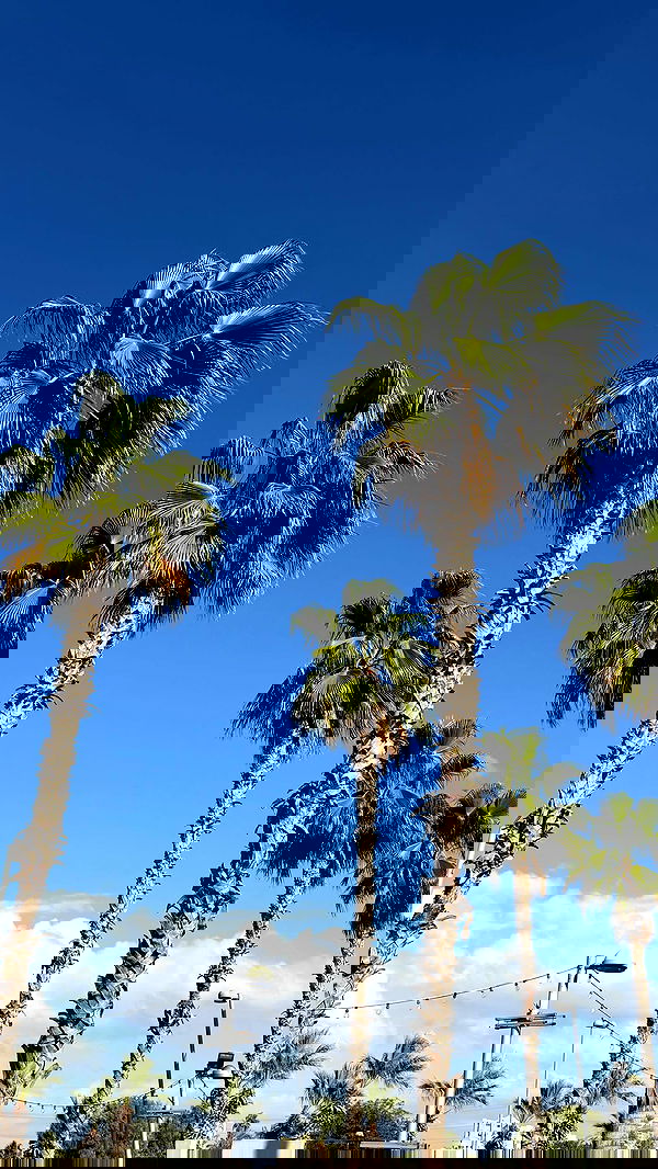 talweisswasser image ~ Altpins