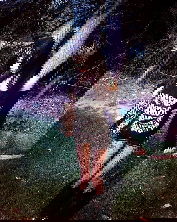 twodollie twodollie archive image