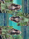 lyhythuedoxinh Altpins Profile Picture