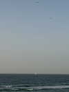 efrat_elmalich Altpins Profile Picture