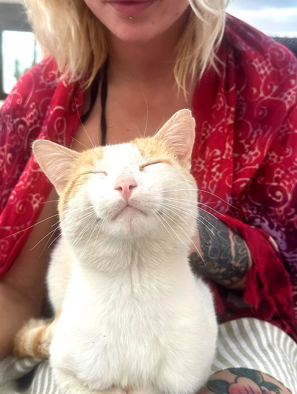 charley.chambers instagram image archive image