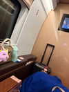 kelseydopegal Altpins Profile Picture