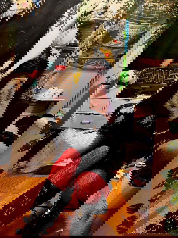 _animechika_ _animechika_ archive image