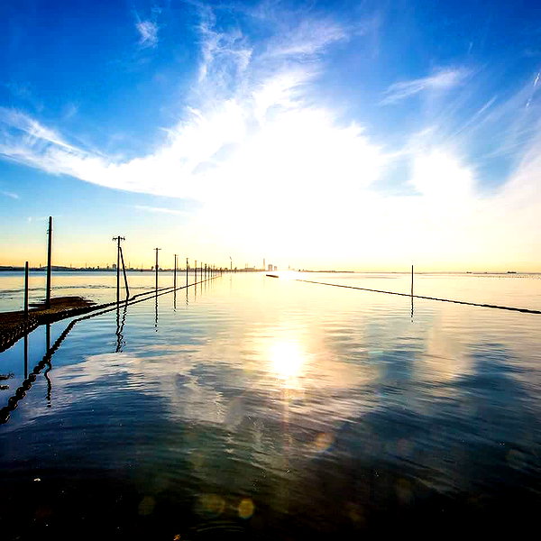 muze instagram image archive image