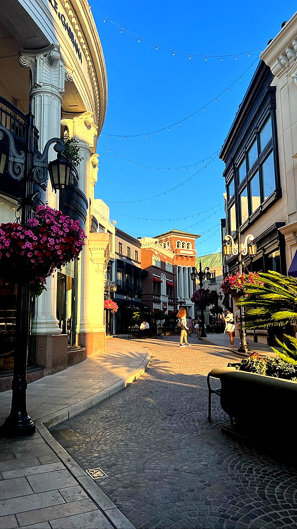 brontesheppeard instagram image archive image
