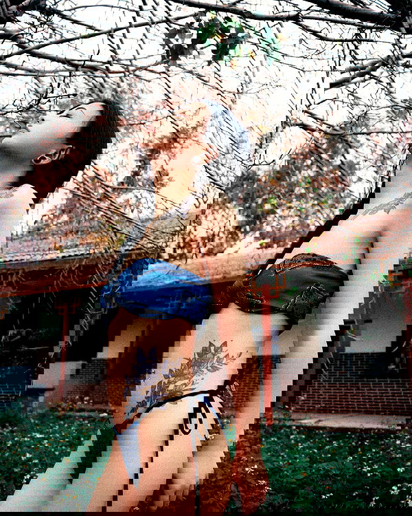 ting851204 ting851204 archive image