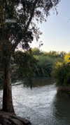 toharsandrusi Altpins Profile Picture