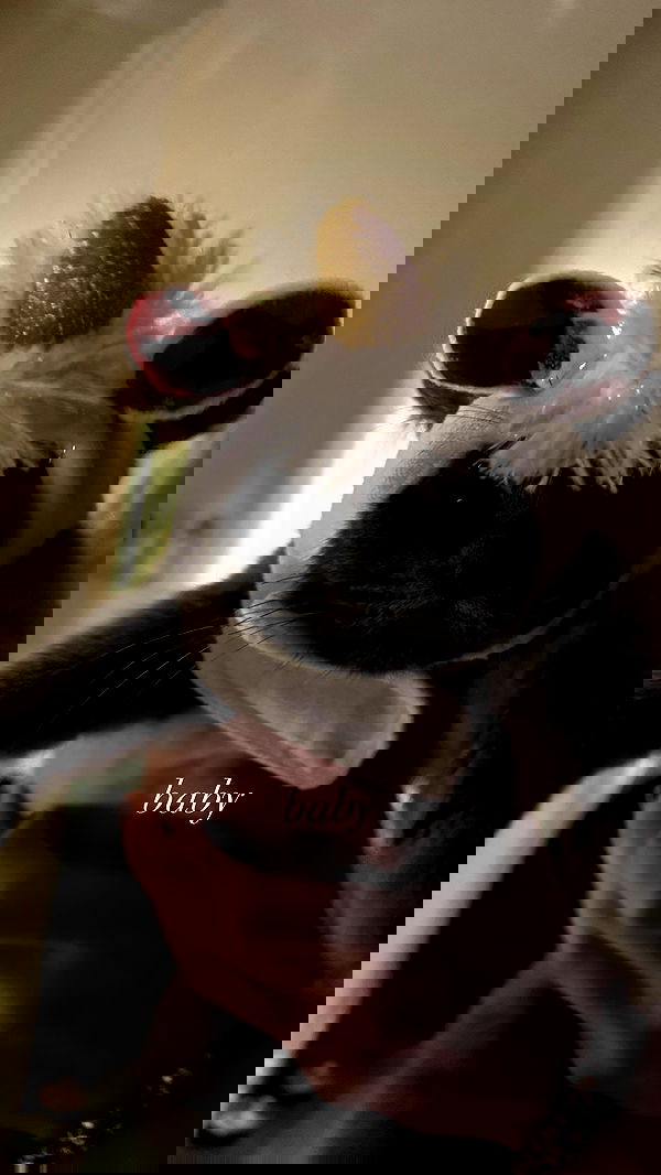 rchhhll rchhhll archive image