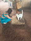 hellokittyangel666 Altpins Profile Picture