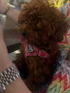 payton.r Altpins Profile Picture