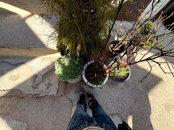 mmmuumil instagram image archive image