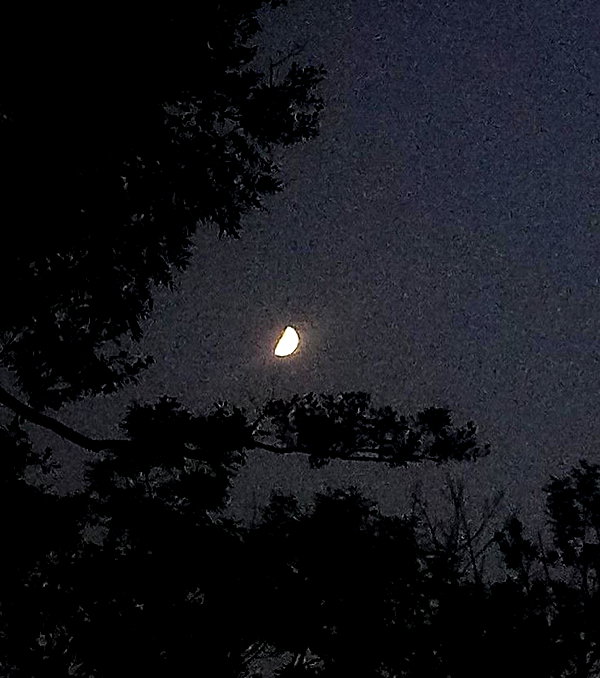 nishymoon_ instagram image archive image