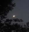 nishymoon_ Altpins Profile Picture