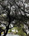 daisy_r_19 Altpins Profile Picture