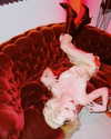 amellliiaa Altpins Profile Picture