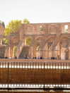biton__adi Altpins Profile Picture