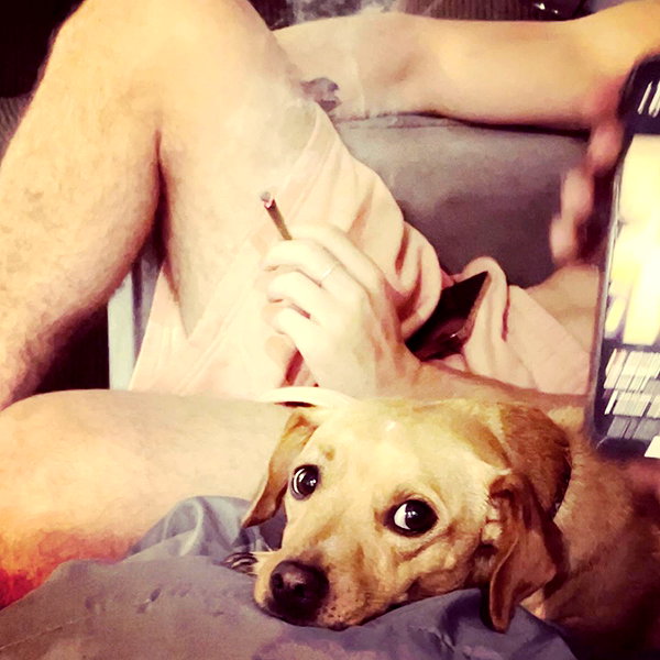 haileylayfield instagram image archive image