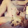 haileylayfield Altpins Profile Picture