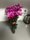 lior_levrun Altpins Profile Picture