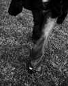 solzarubin_ Altpins Profile Picture