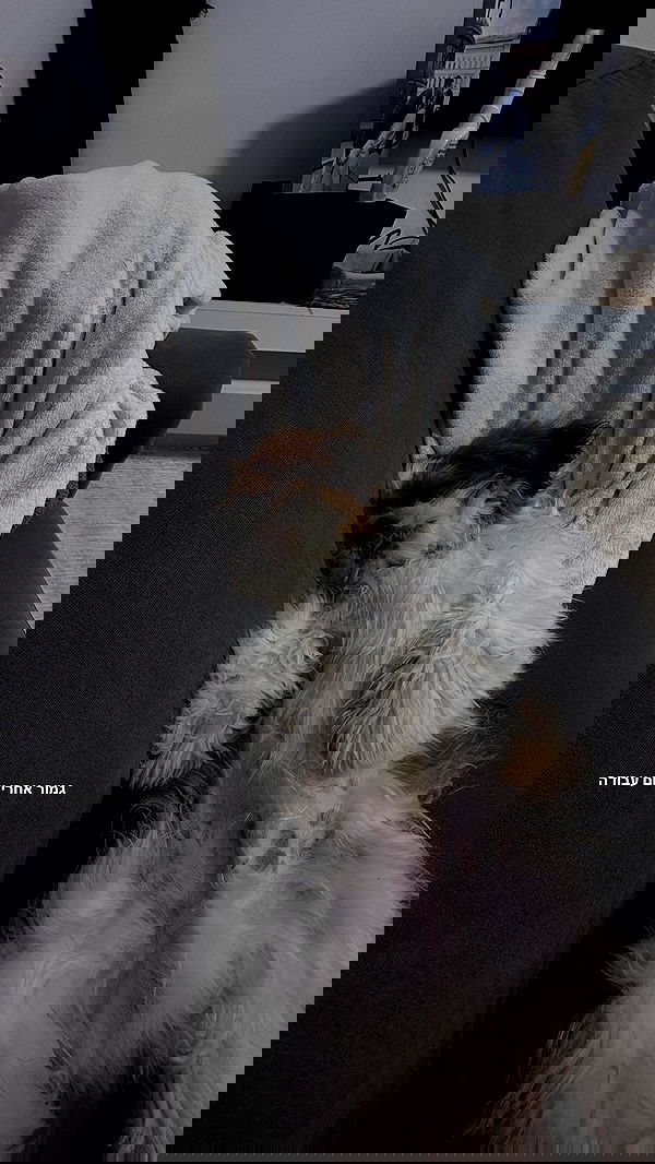 noammalka___ noammalka___ archive image