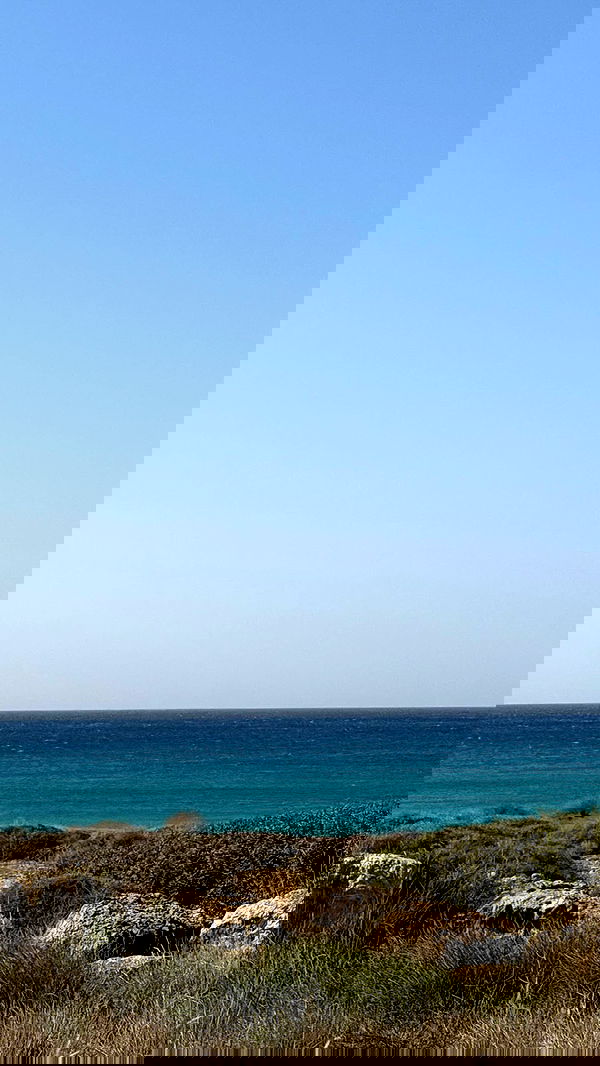 talweisswasser image ~ Altpins