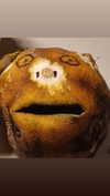 blossom_in_my_moonlight Altpins Profile Picture