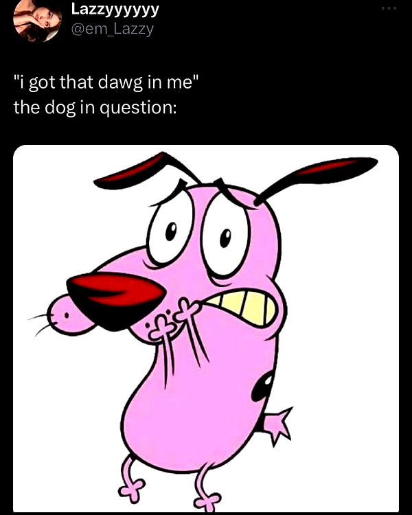 leanbeefpatty instagram image archive image