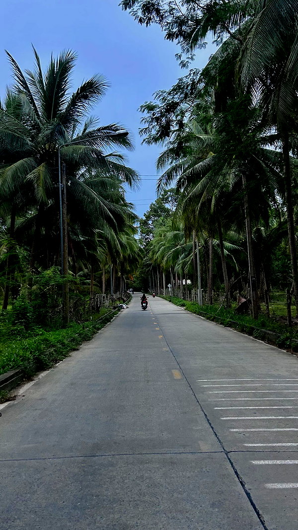 tamar_tsur instagram image archive image
